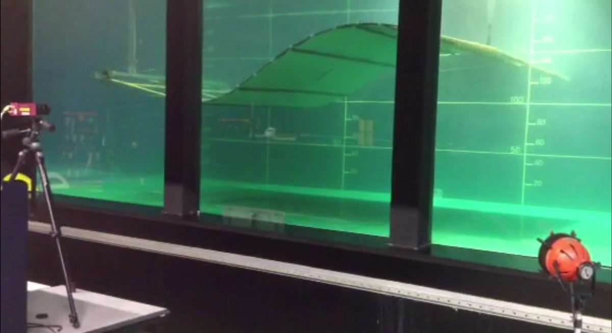 Innovation : une hydrolienne reproduit le mouvement des poissons pour générer de l&rsquo;électricité