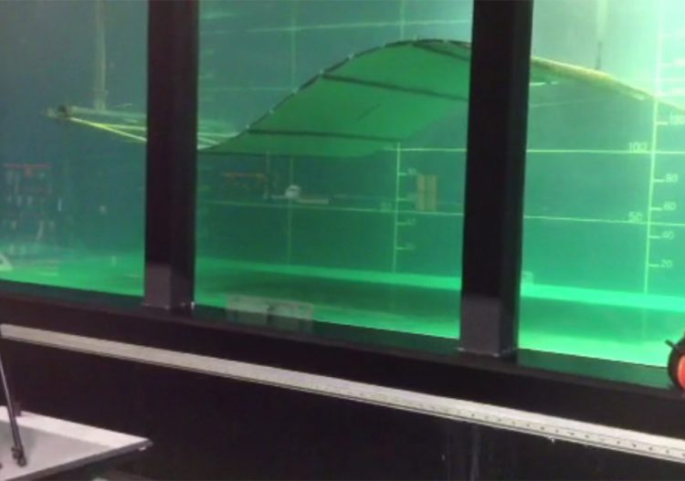 Innovation : une hydrolienne reproduit le mouvement des poissons pour générer de l&rsquo;électricité