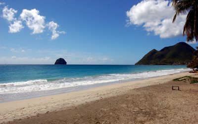 La Martinique vise l&rsquo;autosuffisance énergétique