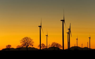 Google utilise l&rsquo;intelligence artificielle pour optimiser la production de ses parcs éoliens