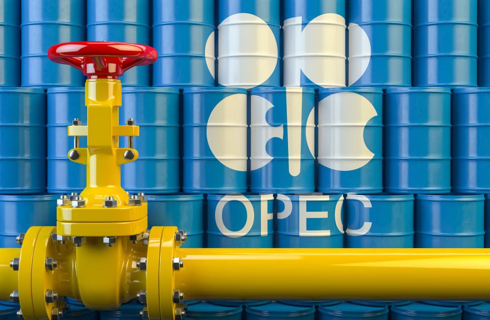 Existe-t-il encore un avenir pour l’OPEP ?
