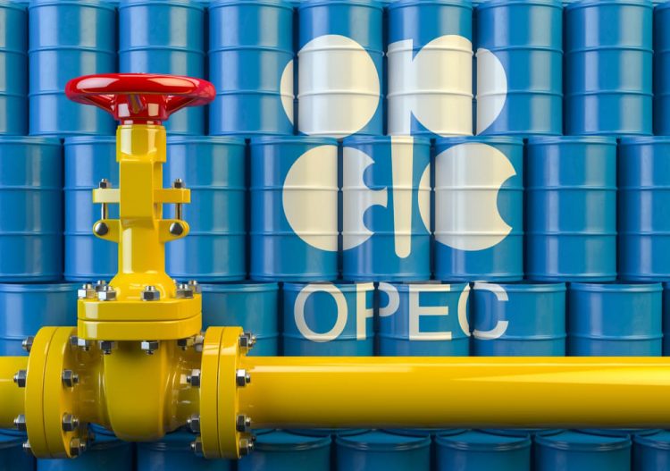 Existe-t-il encore un avenir pour l’OPEP ?