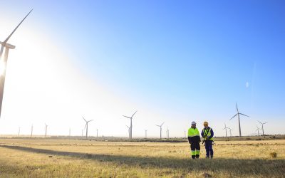Le stockage vert, horizon de la transition énergétique