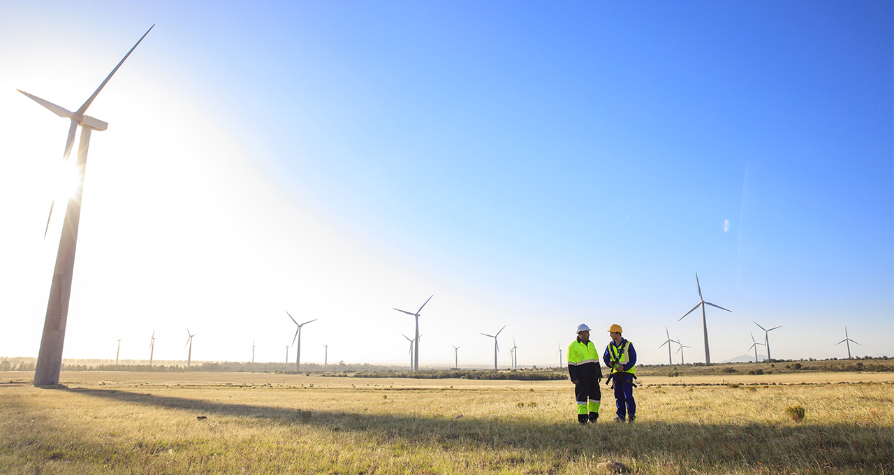 renouvelables-transition-energetique-jpg