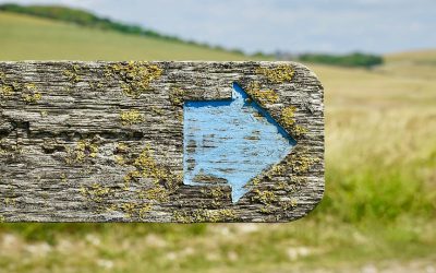 « Transitionner » c’est bien, sans oublier où on va, c’est mieux ! (Tribune)