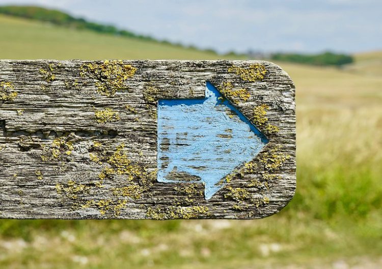 « Transitionner » c’est bien, sans oublier où on va, c’est mieux ! (Tribune)