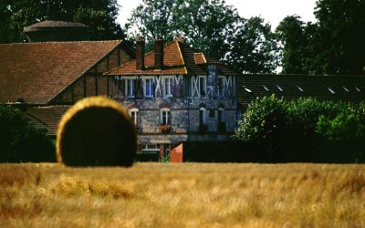 La ferme d’AgroParisTech produira du gaz vert qui sera injecté dans le réseau