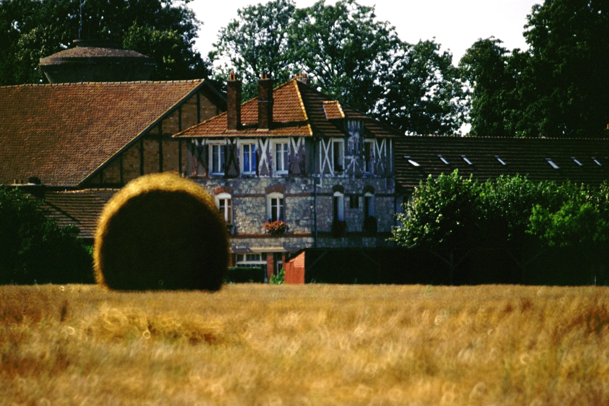 ferme-jpg