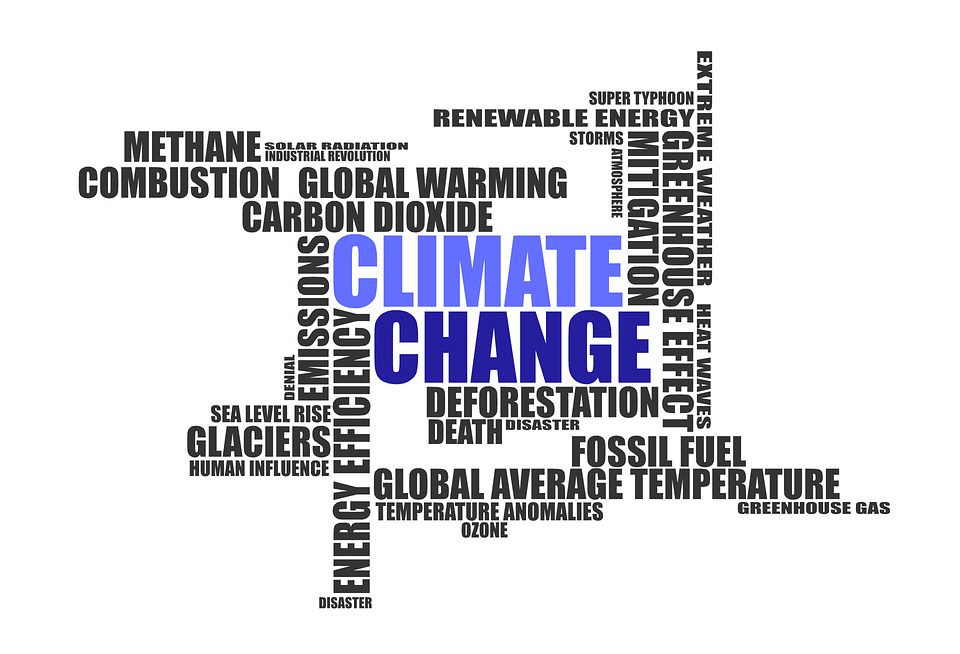 Climat et pollution, deux notions à ne pas confondre (Tribune)