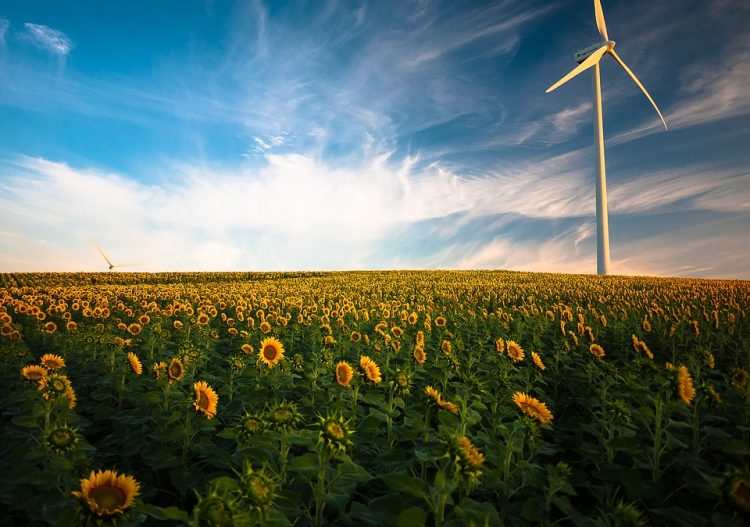 « Il ne faut pas opposer la croissance et les objectifs climatiques »