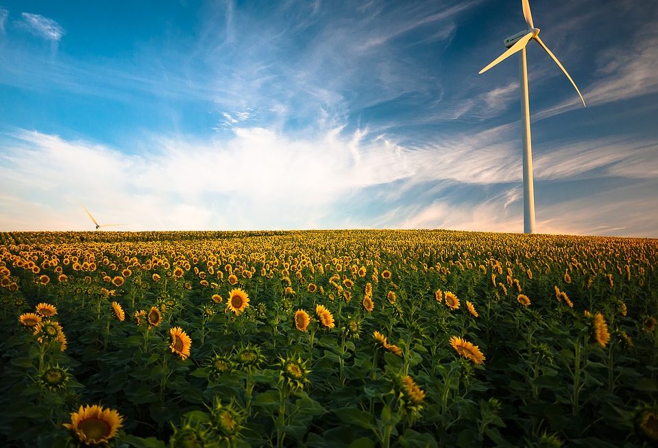 « Il ne faut pas opposer la croissance et les objectifs climatiques »