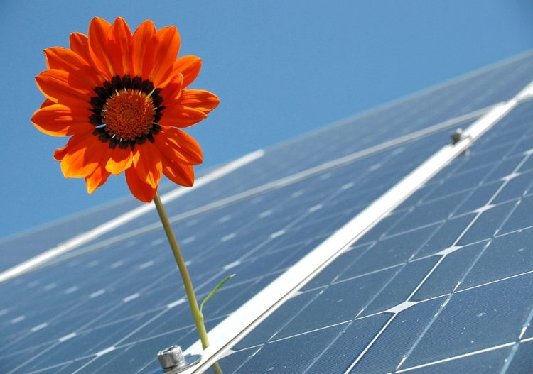 En 2018, les énergies renouvelables ont continué leur progression