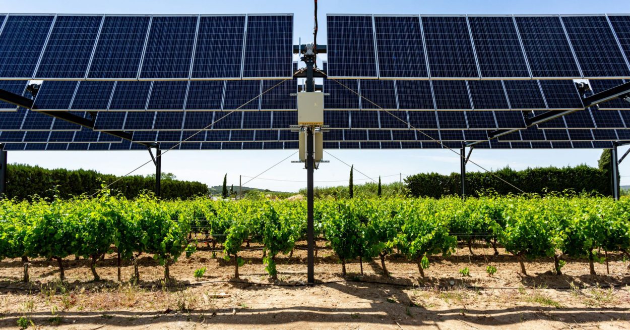 L&rsquo;agrivoltaïsme, une solution pour stopper la destruction des terres agricoles 