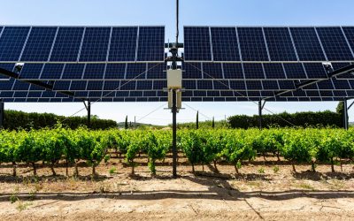 L&rsquo;agrivoltaïsme, une solution pour stopper la destruction des terres agricoles 