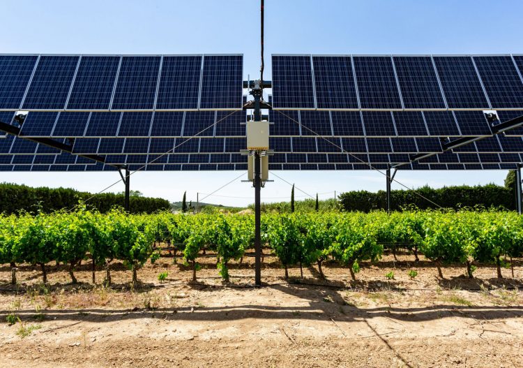 L&rsquo;agrivoltaïsme, une solution pour stopper la destruction des terres agricoles 