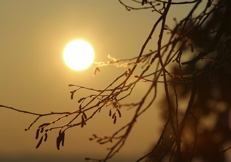 Que signifie le changement climatique pour le solaire, la biomasse et les énergies marines ?