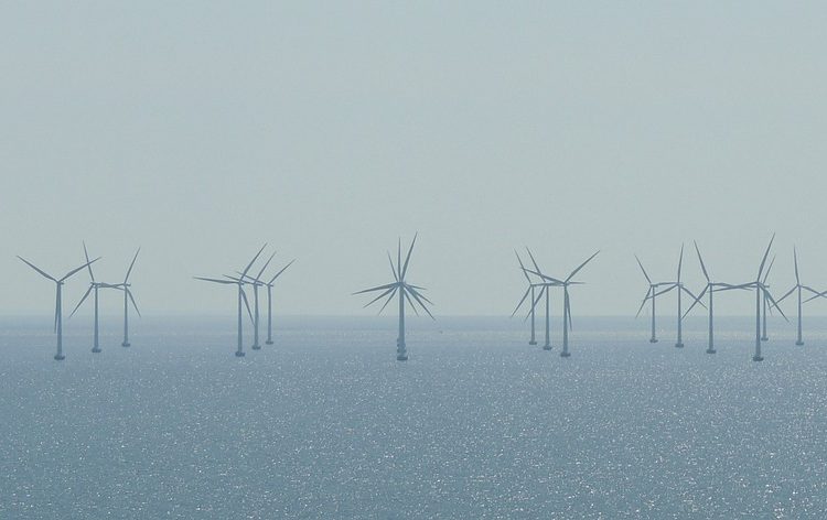 Pour l&rsquo;AIE, l&rsquo;éolien offshore va devenir le pilier de la transition énergétique mondiale