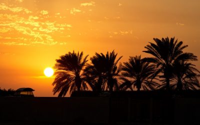 « L&rsquo;Arabie saoudite veut devenir un exportateur majeur d&rsquo;électricité verte vers l&rsquo;Europe »