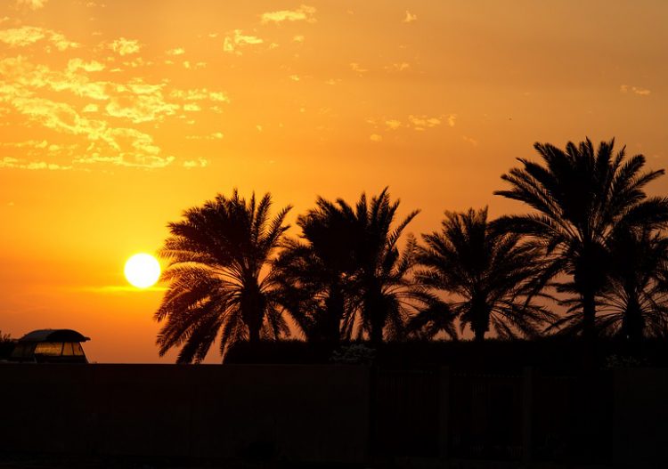 « L&rsquo;Arabie saoudite veut devenir un exportateur majeur d&rsquo;électricité verte vers l&rsquo;Europe »
