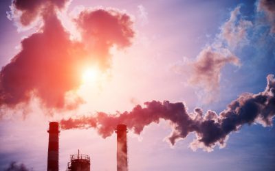 Les banques deviennent-elles plus éco-responsables ?