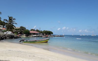 L&rsquo;énergie : un enjeu majeur pour construire durable aux Antilles