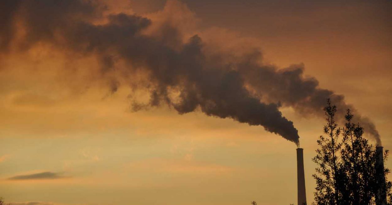 La centrale thermique du Havre entame sa transformation industrielle