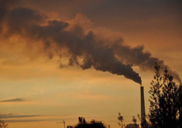 La centrale thermique du Havre entame sa transformation industrielle
