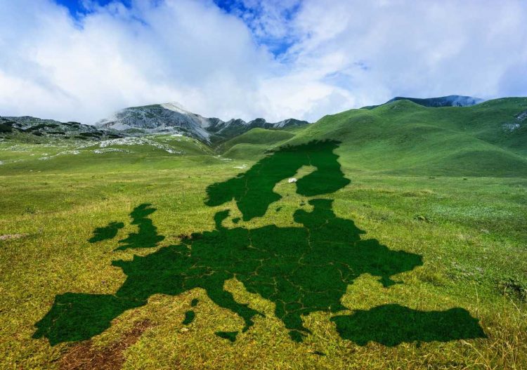 Les entreprises européennes investissent massivement dans les technologies bas carbone