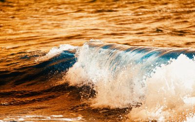 Transformer les vagues en énergie : utopie ou réalité ?