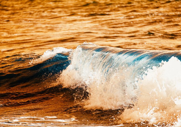 Transformer les vagues en énergie : utopie ou réalité ?