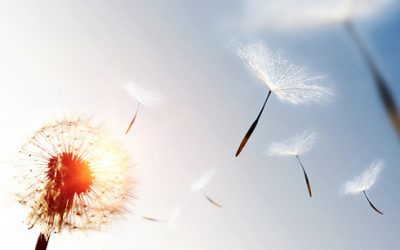 La relance post Covid-19 doit être celle du climat