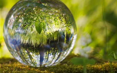 Redéfinir un modèle de production et de consommation pour demain: ce qui est vrai pour l’Energie s’applique à tous !