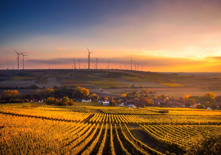 Les municipalités, clés de voûte de la relance écologique et économique du secteur énergétique