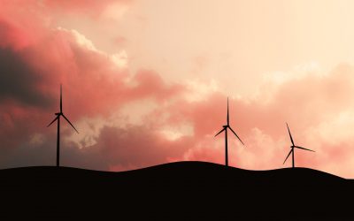 Renouvellement des parcs éoliens entre ambitions et contraintes