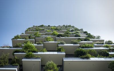 « L’écologie n’est pas incompatible avec l’efficacité d’un immeuble »
