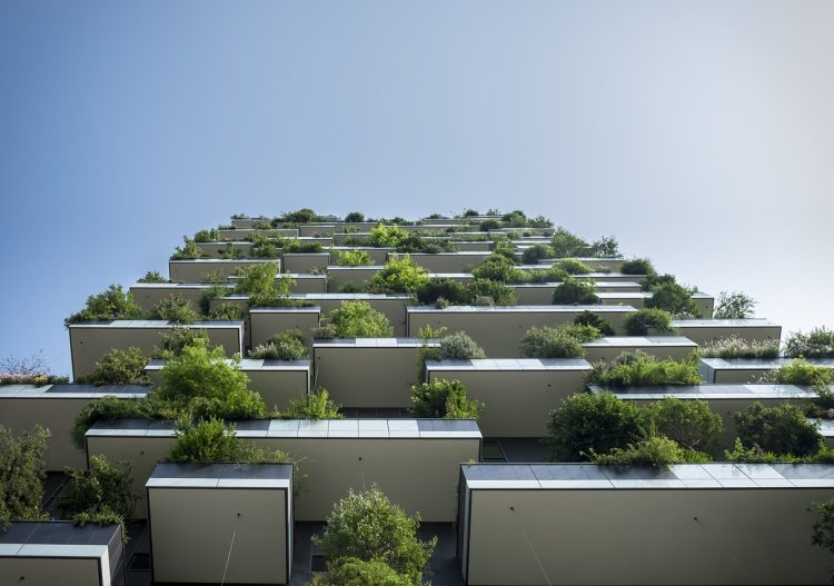 « L’écologie n’est pas incompatible avec l’efficacité d’un immeuble »