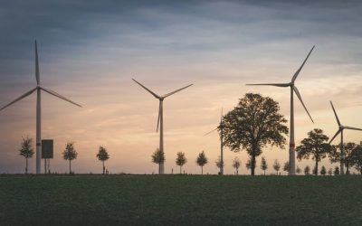 Eolien : « le repowering, un levier important pour atteindre les objectifs de la PPE »