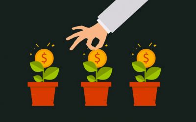 Le « capitalisme viral » peut-il sauver la planète ?