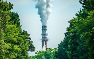 Le marché carbone en Europe : la fixation du plafond