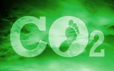 Les deux jambes de la neutralité climatique