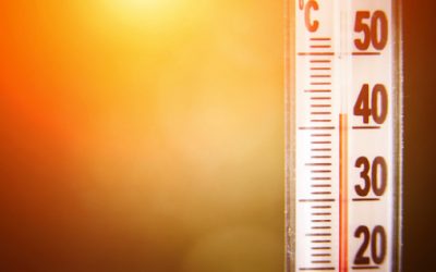 Rapport du GIEC : plus qu&rsquo;alarmant !