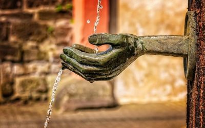 Les circuits courts gagneront-ils le monde de l’énergie ?