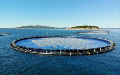 Voici la première centrale hybride solaire et hydroélectrique