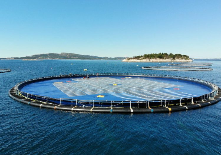 Voici la première centrale hybride solaire et hydroélectrique