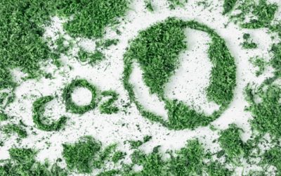 Rapport du GIEC : le CO2 et les autres