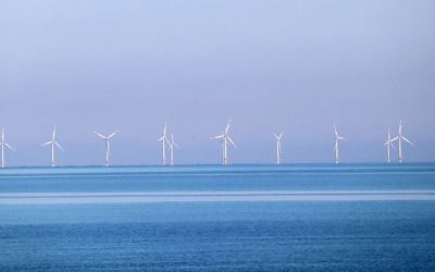 Parc éolien d’Oléron : l’Agence des aires marines protégées avait dit non