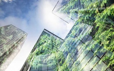 La transition énergétique, le nouveau défi des acteurs de l’immobilier tertiaire