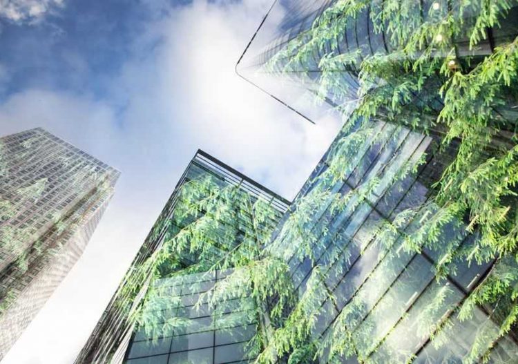 La transition énergétique, le nouveau défi des acteurs de l’immobilier tertiaire