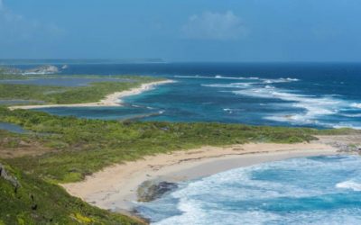 Le couplage parc éolien & stockage par batteries : décollage d’un nouveau modèle énergétique pour les zones isolées ?