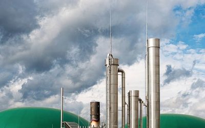 Prenons le parti du climat, faisons le choix du gaz renouvelable (Tribune)